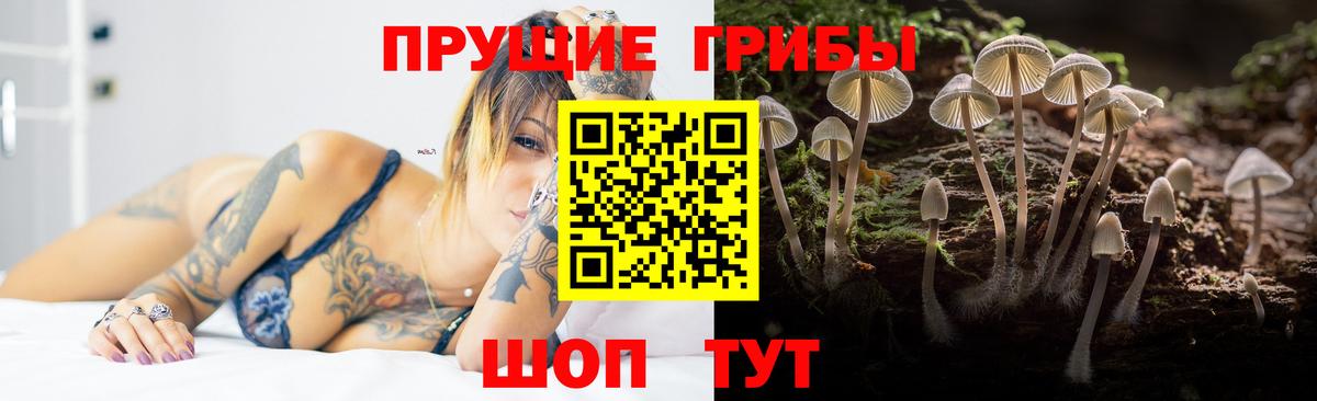 Псилоцибиновые грибы мицелий  Псилоцибиновые грибы Psilocybine cubensis  Вход с VPN  Феодосия 