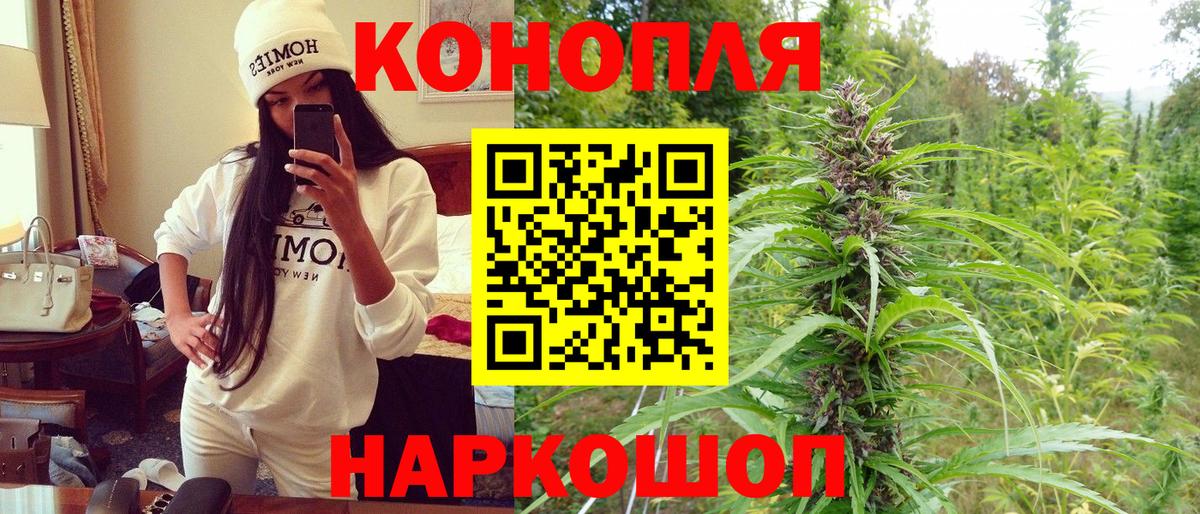 Канабис гибрид  Марихуана сатива  Феодосия  Канабис OG Kush  Вход с VPN 